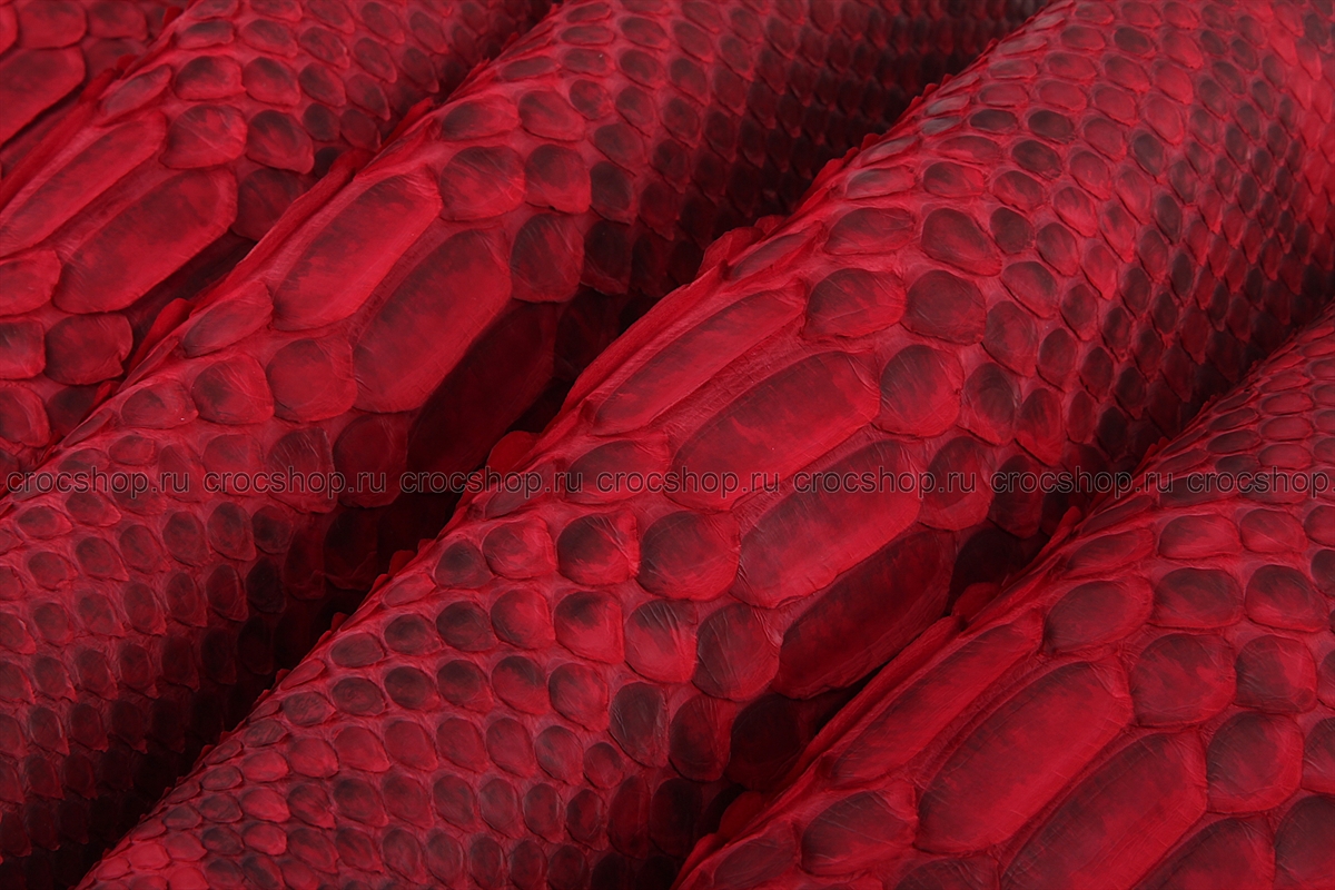 Кожа питона, шкура, ширина 30-34 см