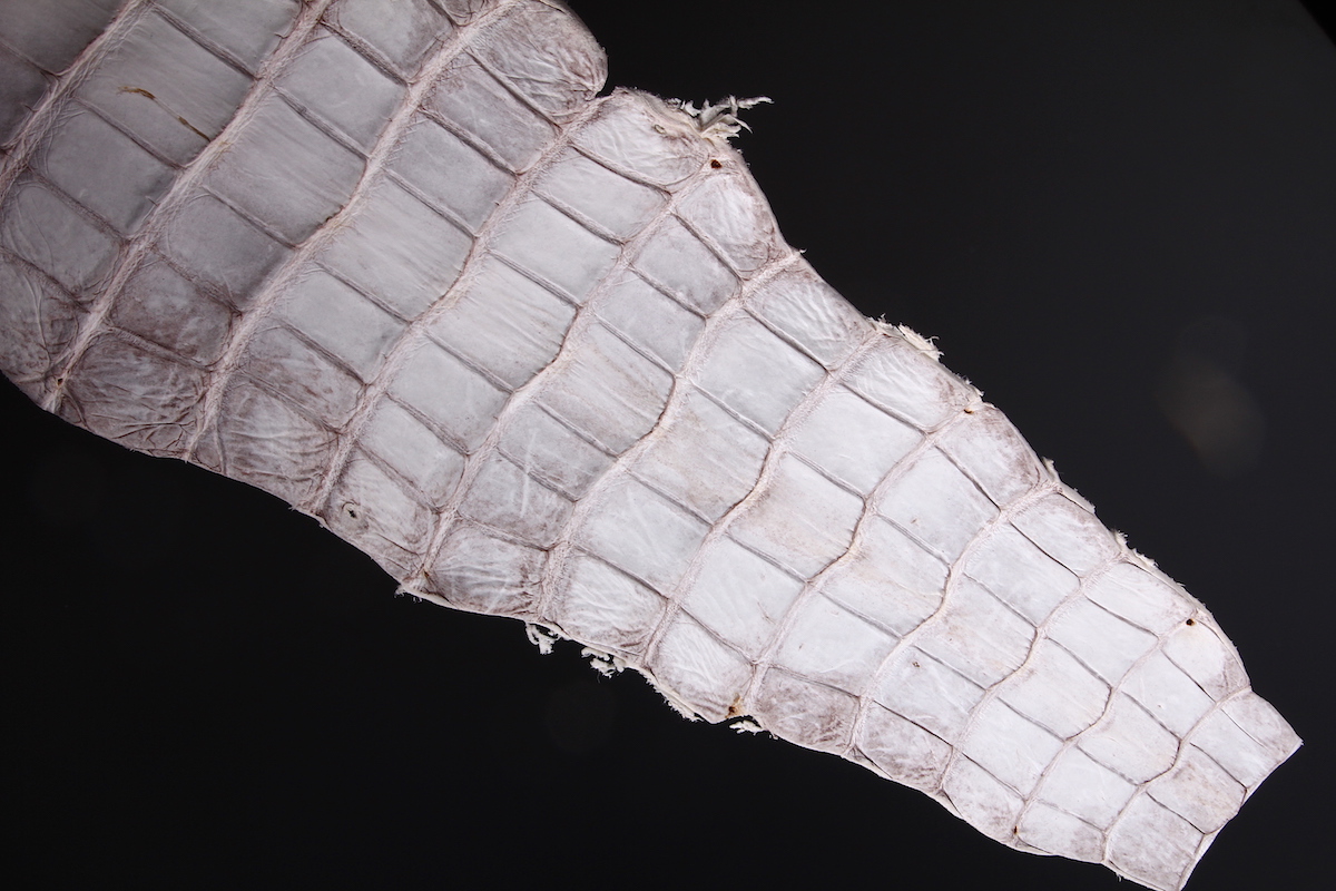 Хвост крокодила, кусок, длина 35-45 см