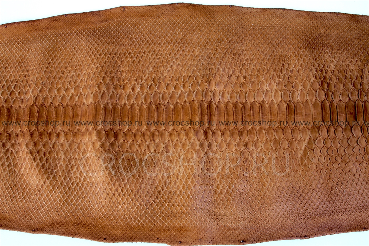 Кожа питона, шкура, ширина 30-34 см