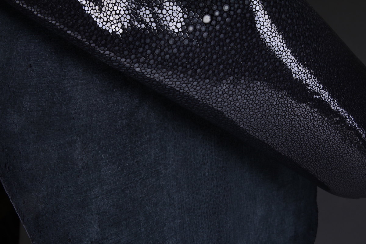 Кожа морского ската, полированная, длинная, ширина 21-22 см, длина 44-49 см