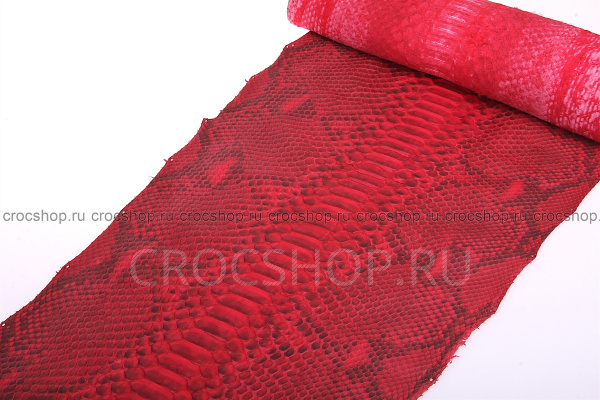 Кожа питона, шкура, ширина 38-42 см Кожа питона, шкура, ширина 38-42 см