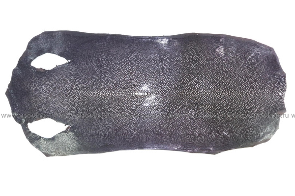 Кожа морского ската, полированная, овальная, ширина 34-36 см, длина 62-66 см Кожа морского ската, полированная, овальная, ширина 34-36 см, длина 62-66 см