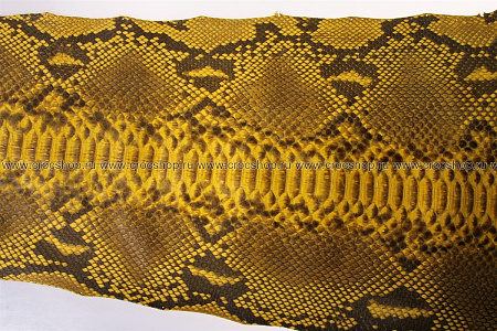 Кожа питона, шкура, ширина до 38 см
