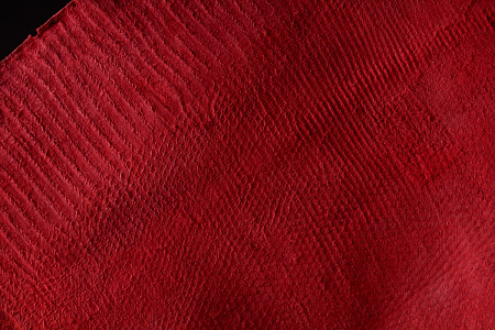 Шкура ящерицы/варана (краст), спинная часть шкуры, ширина 39-41