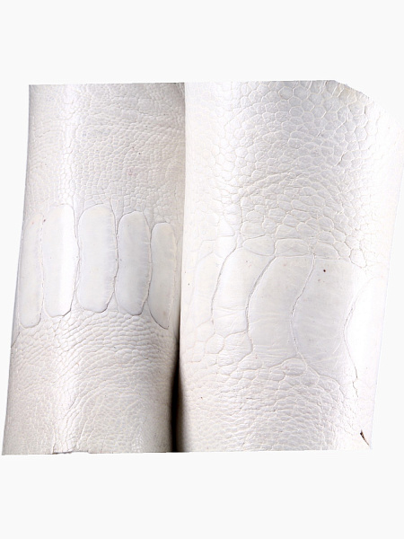 Кожа страуса, лапа страуса