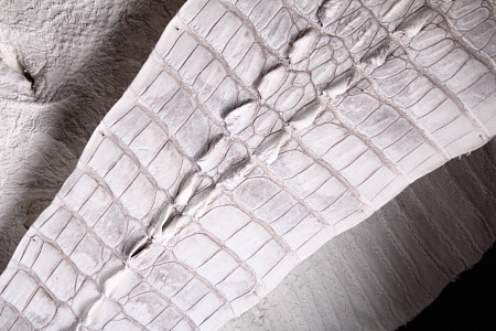 Кожа крокодила, шкура целиком, спина/хорнбэк, ширина от 20 до 87 см, стоимость от