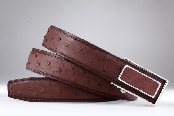 Ремень из кожи страуса Treoda, ширина 3,5 см