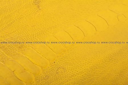 Кожа страуса, лапа страуса