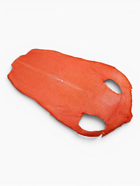 Кожа морского ската, полированная, длинная, ширина 22-24 см, длина 47-54 см