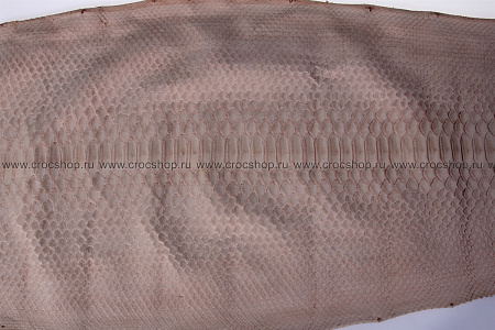 Кожа питона, шкура, ширина 30-34 см