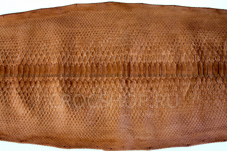 Кожа питона, шкура, ширина 30-34 см
