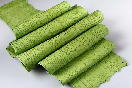 Кожа питона, шкура, ширина 30-34 см