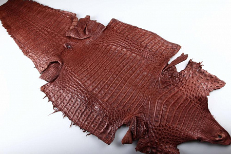 Кожа каймана, брюшная часть, ширина 35-36 см