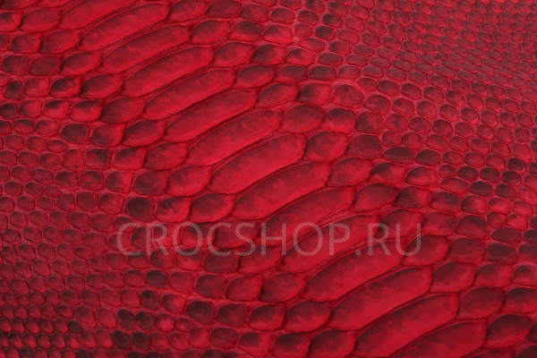 Кожа питона, шкура, ширина 38-42 см Кожа питона, шкура, ширина 38-42 см