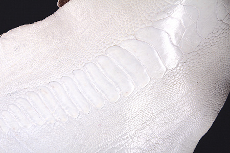 Кожа страуса, лапа страуса