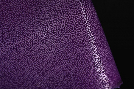 Кожа морского ската, полированная, длинная, ширина 15-16 см, длина 34-36 см