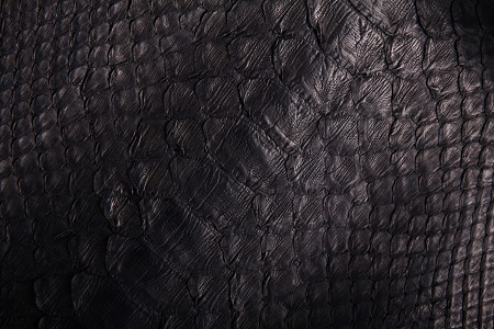 Кожа питона, шкура, ширина 38-42 см