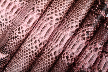Кожа питона, шкура, ширина до 38 см
