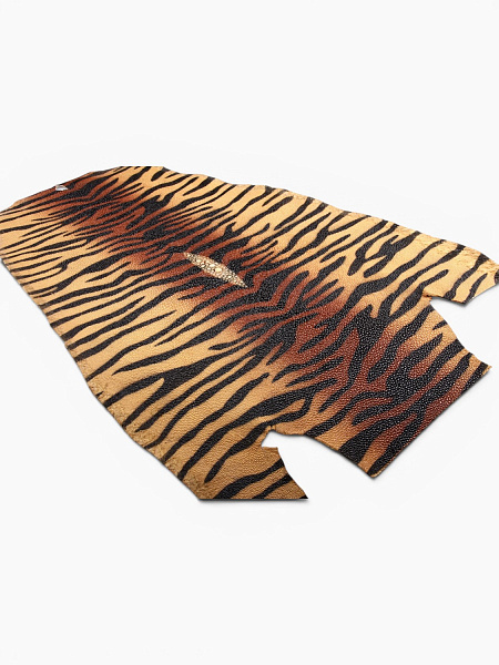 Кожа ската, овальная, ширина 30-32 см, длина 52-57 см